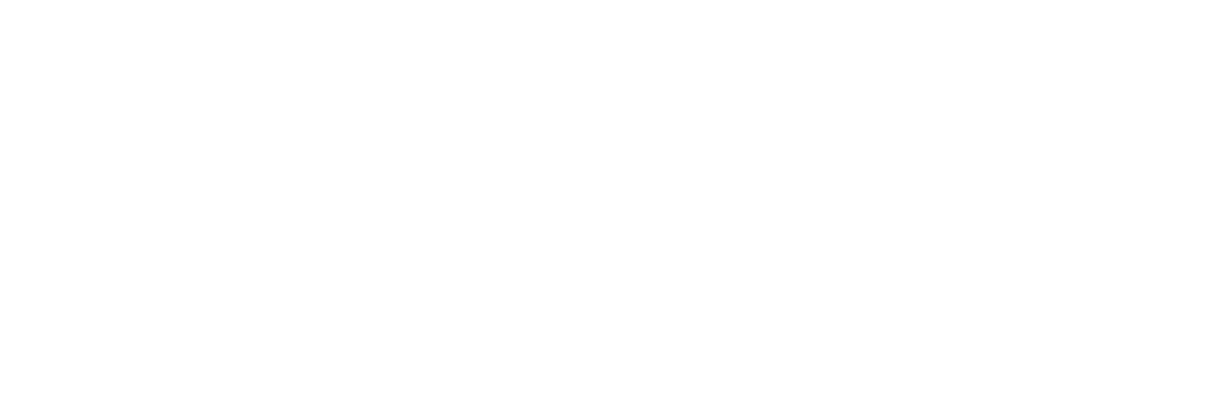 Collaborator 2